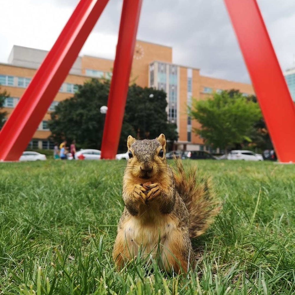 Meet your Posher, Dedekind